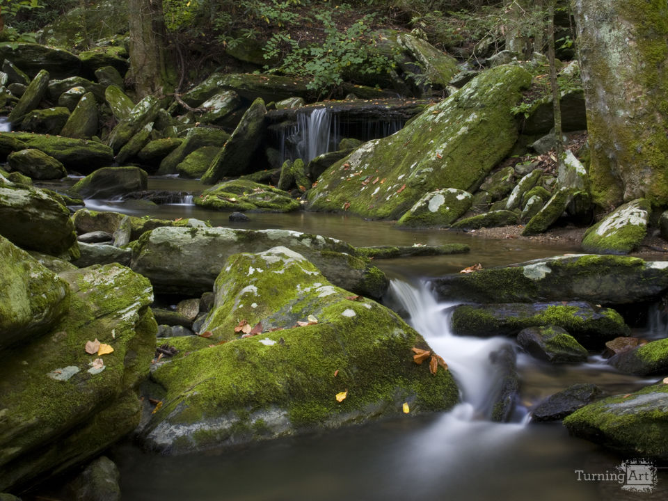 Catawba headwaters