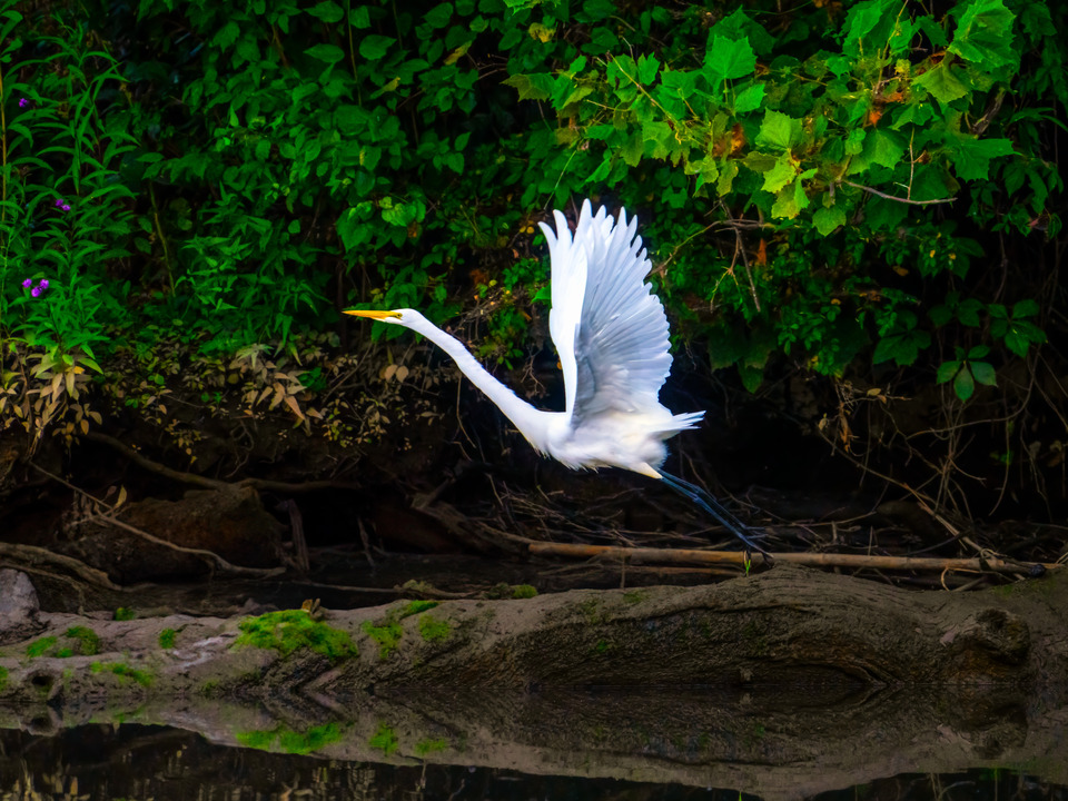 Little Hunting Creek #151