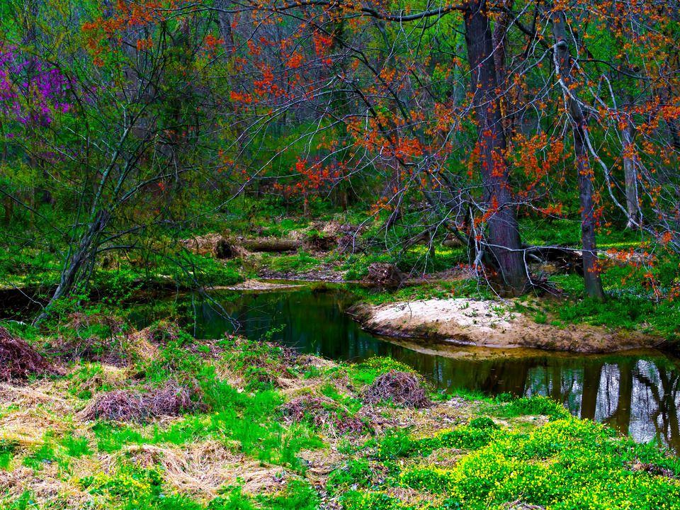 Little Hunting Creek #18