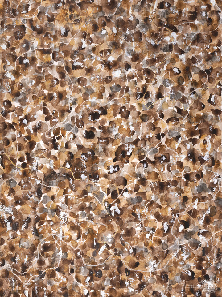 "My Body, My Choice"