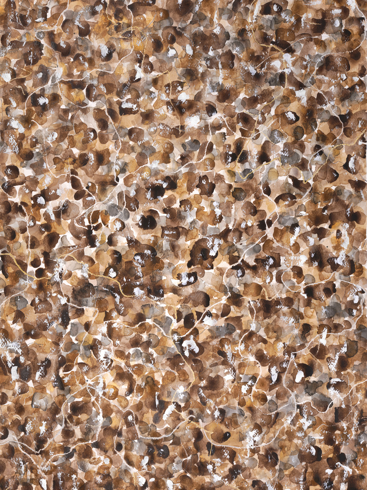 "My Body, My Choice"