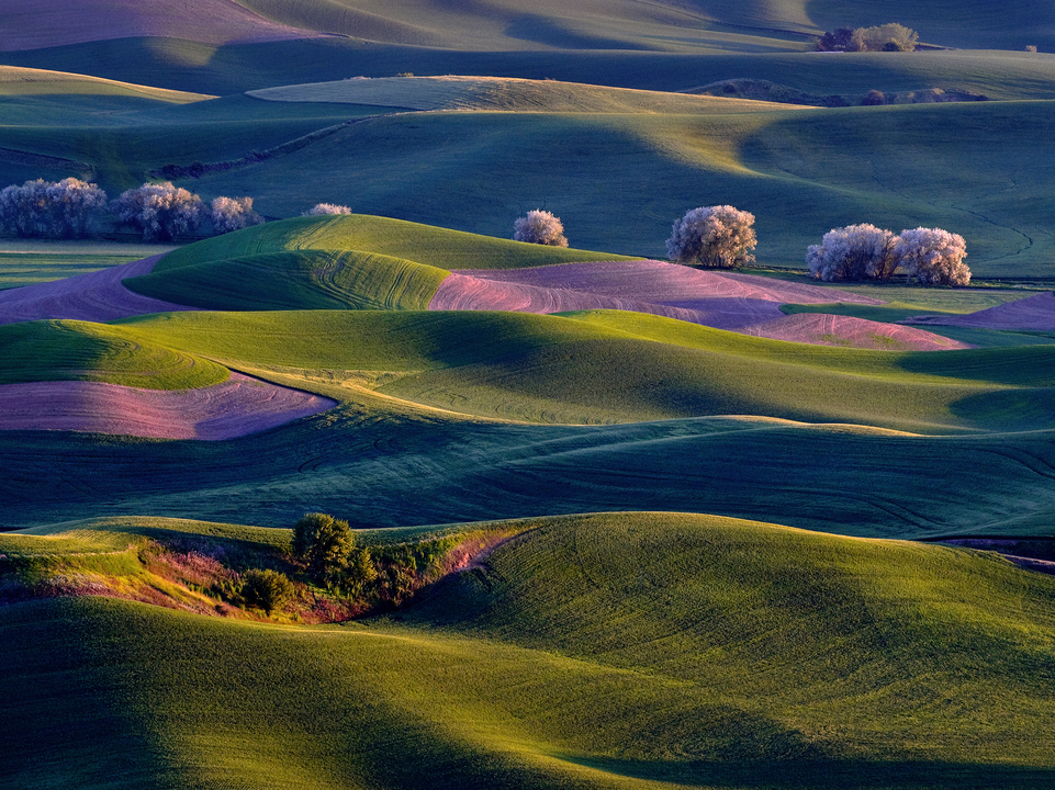 Sunrise on Palouse Hills