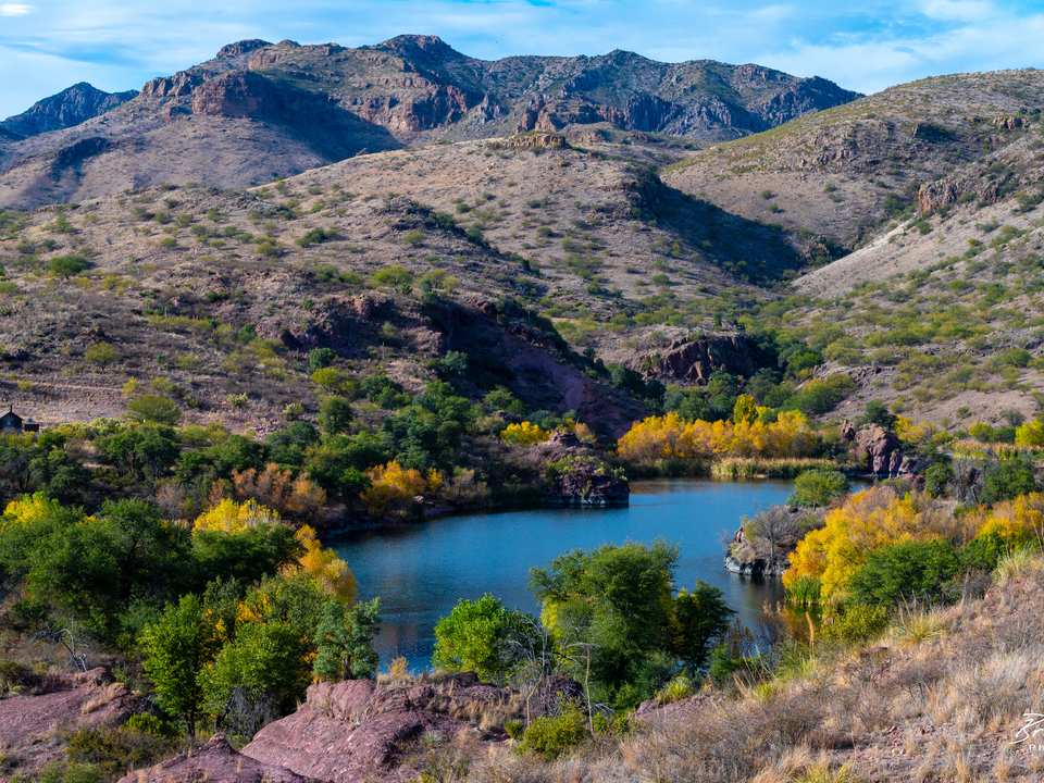 Fall Colors in Southern Arizona