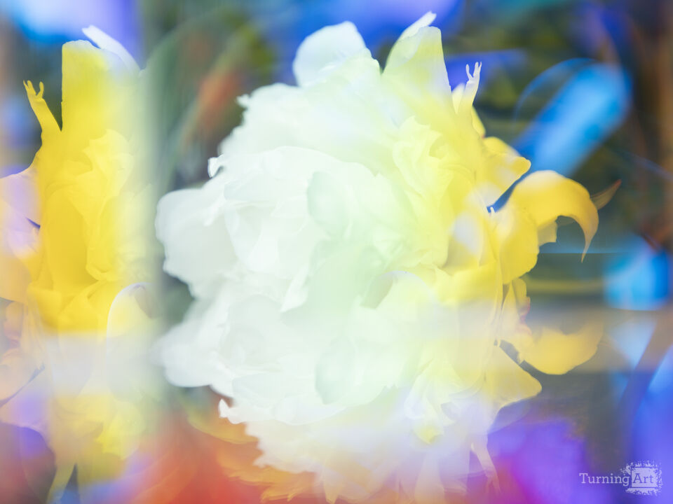 Prismatic Peony I