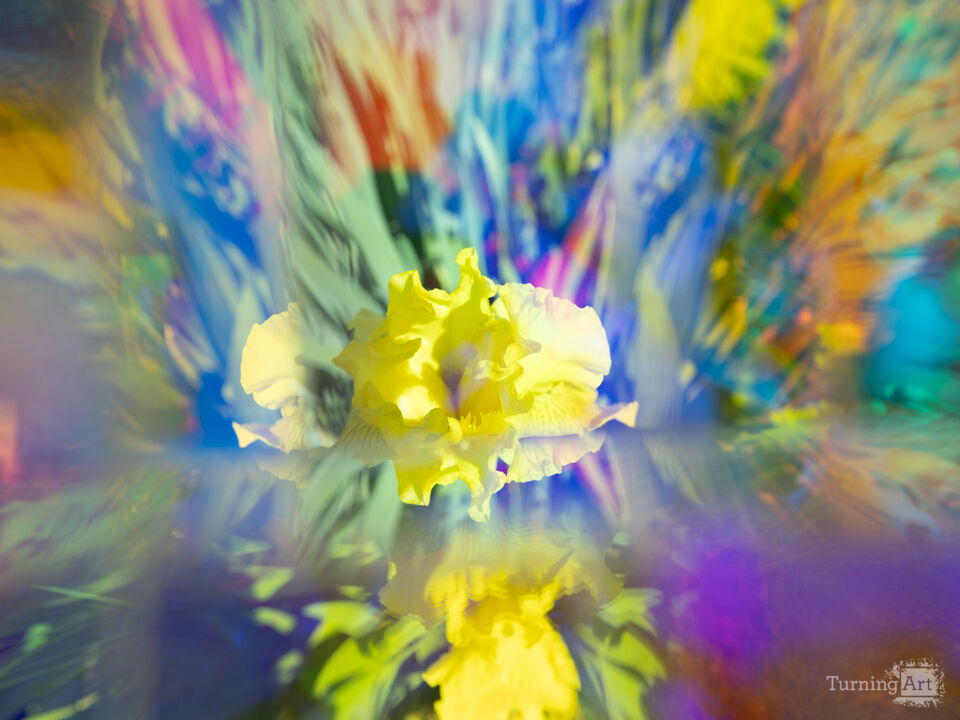Prismatic Iris II