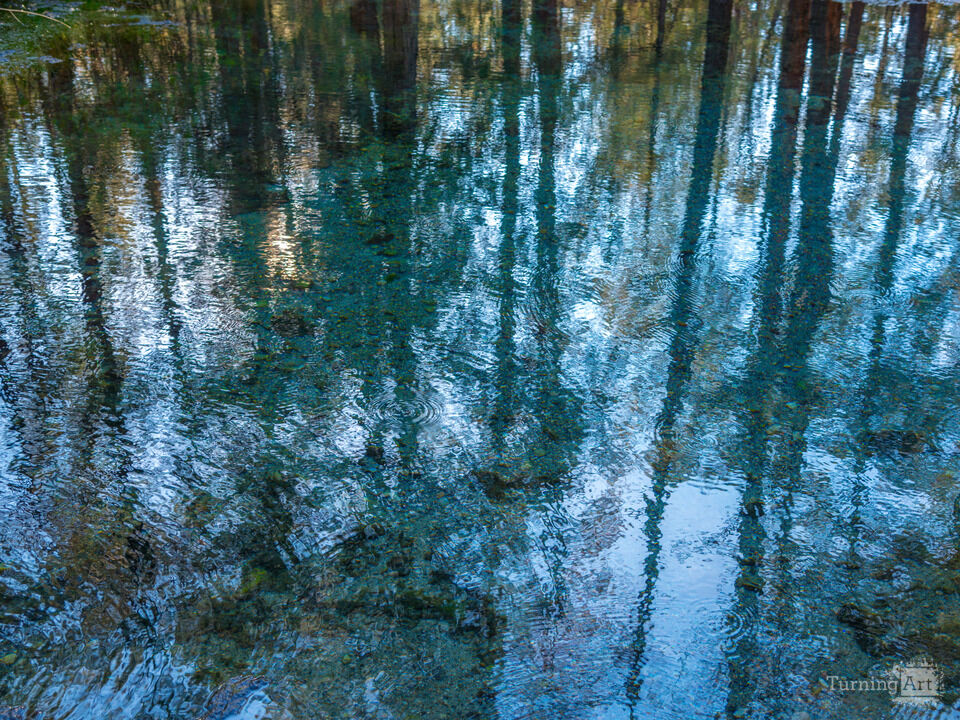 McCauley Springs Reflections