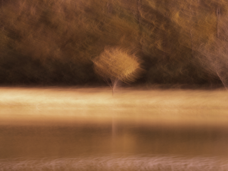 Singular Beauty Amber