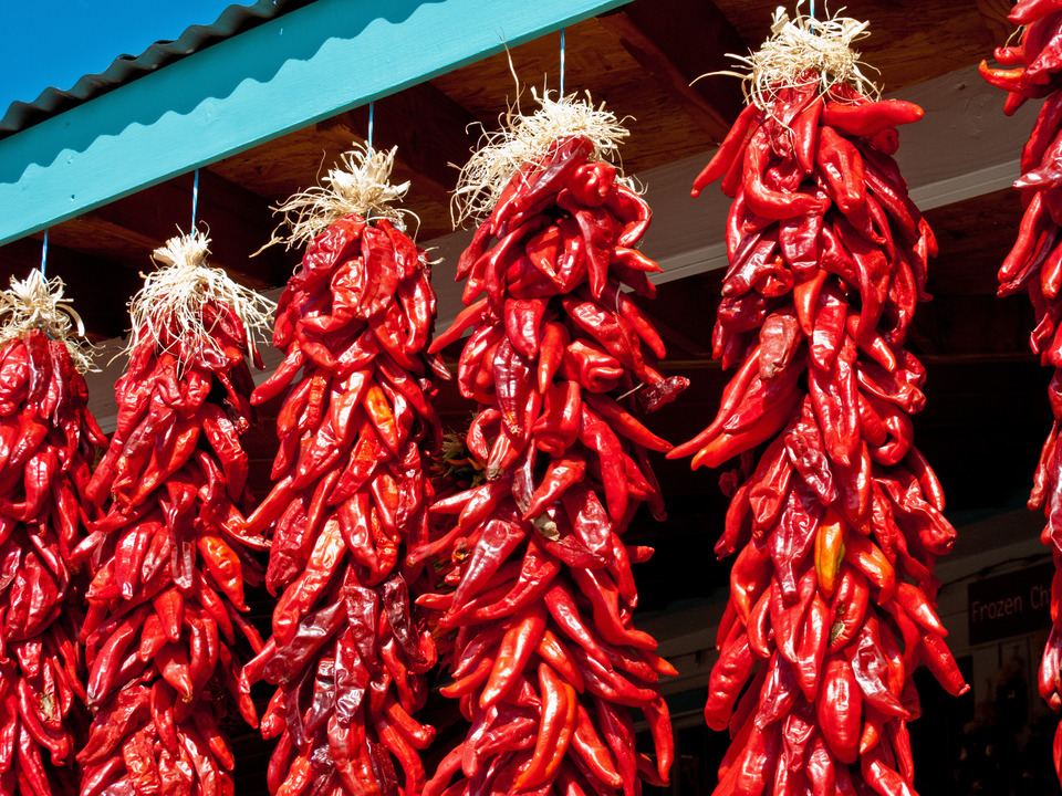 Chile Ristras