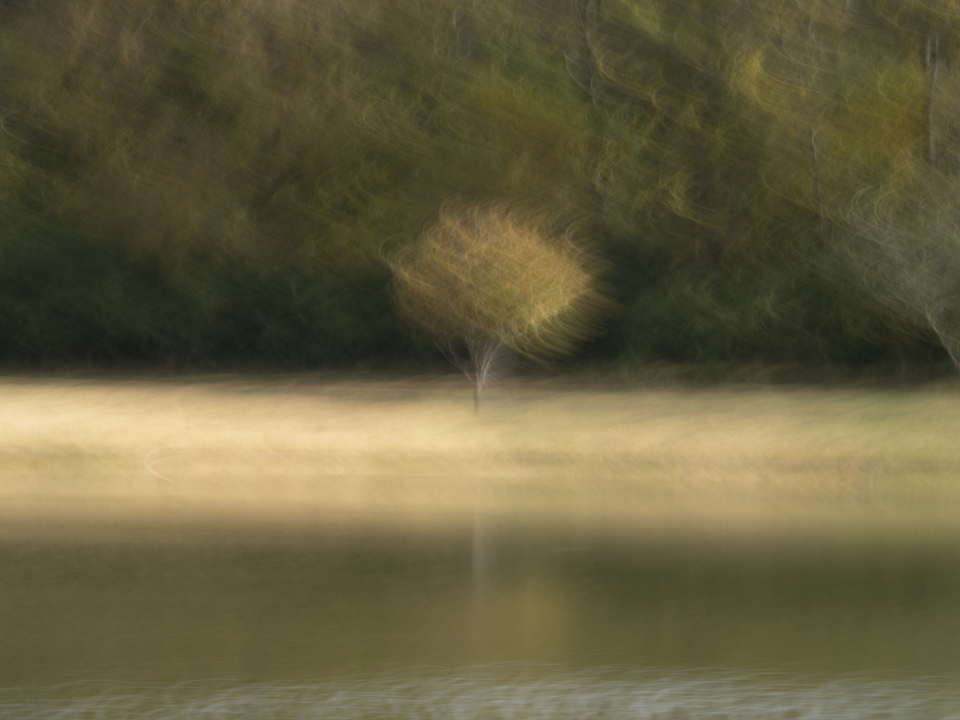 Singular Beauty Verdant