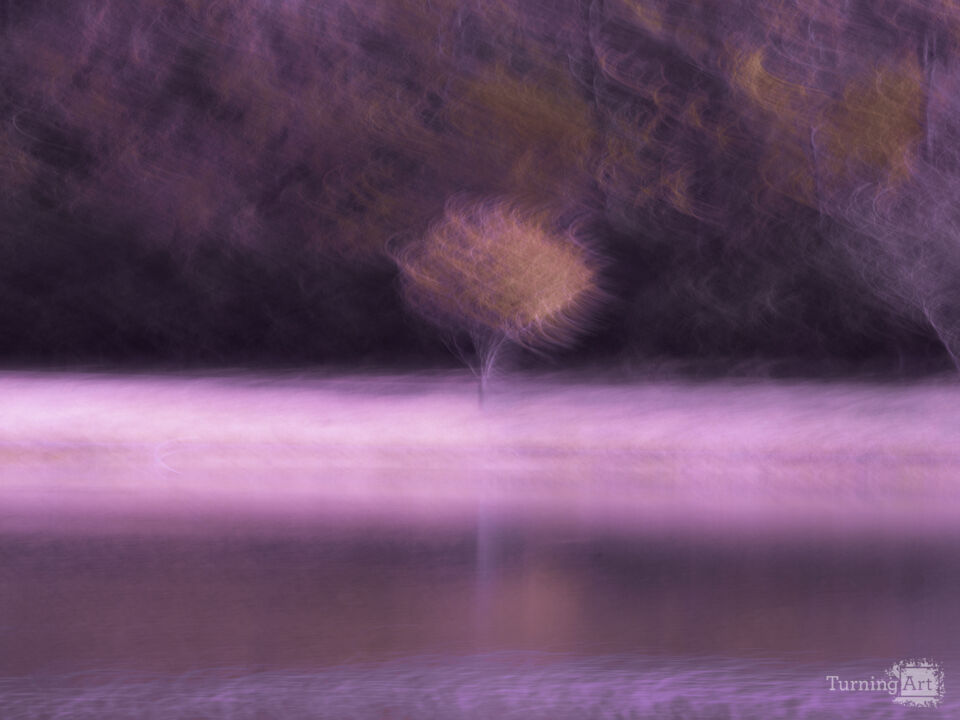 Singular Beauty Fuschia