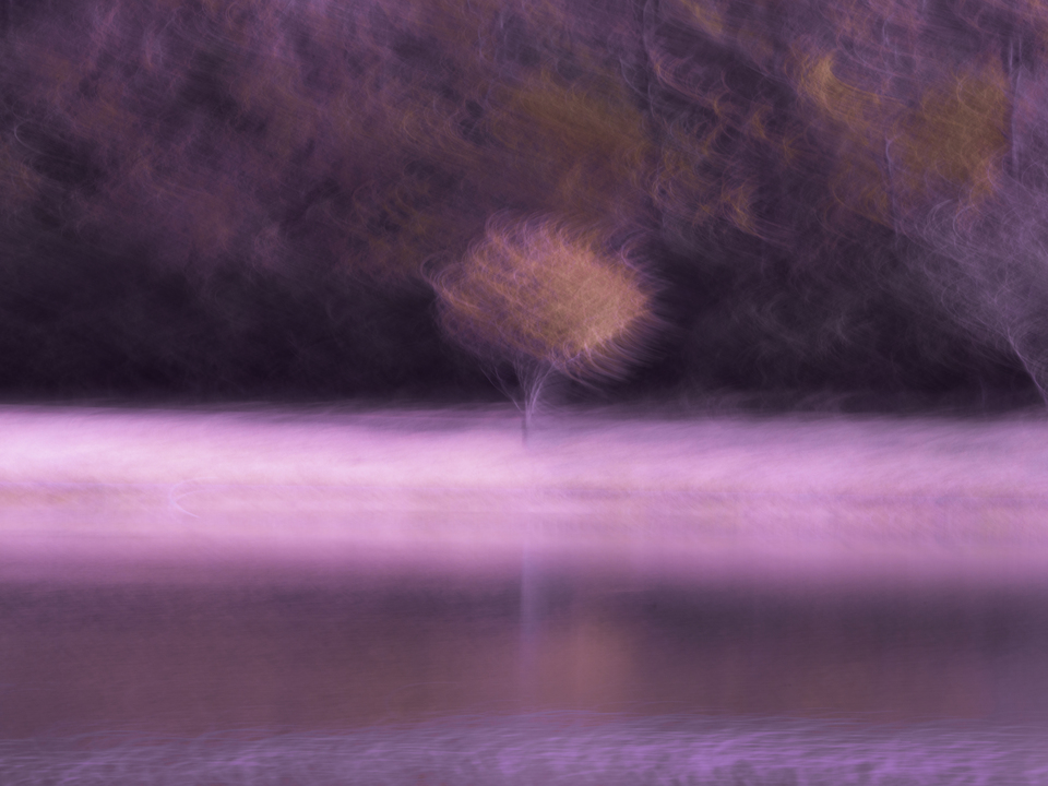 Singular Beauty Fuschia