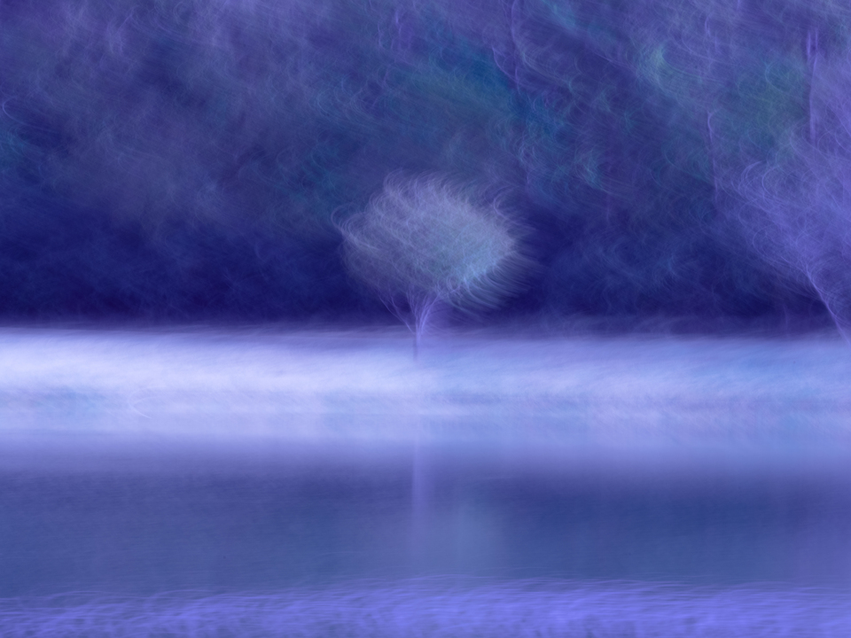 Singular Beauty Violet