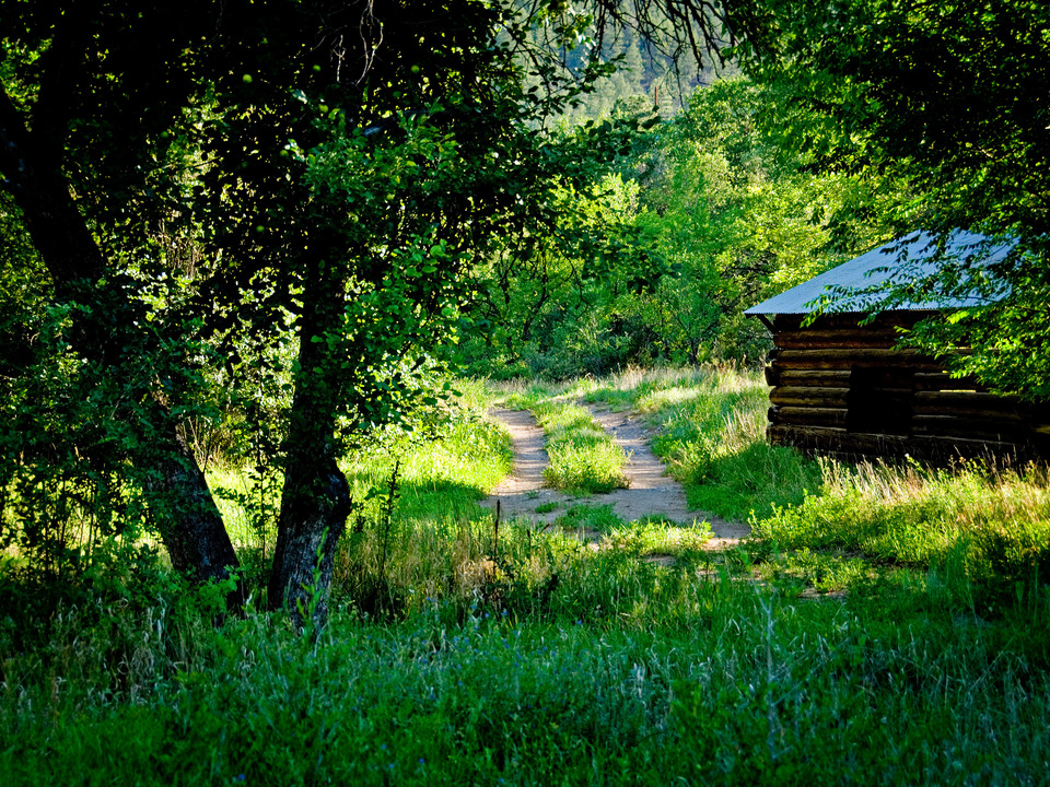 Jemez Cabin Summer
