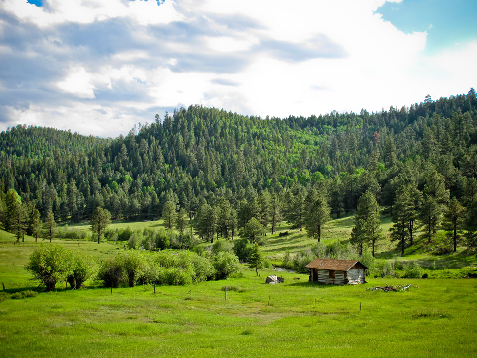 Jemez Mountains Cabin