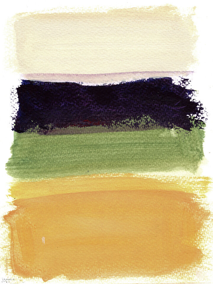 Colors Of A Field I