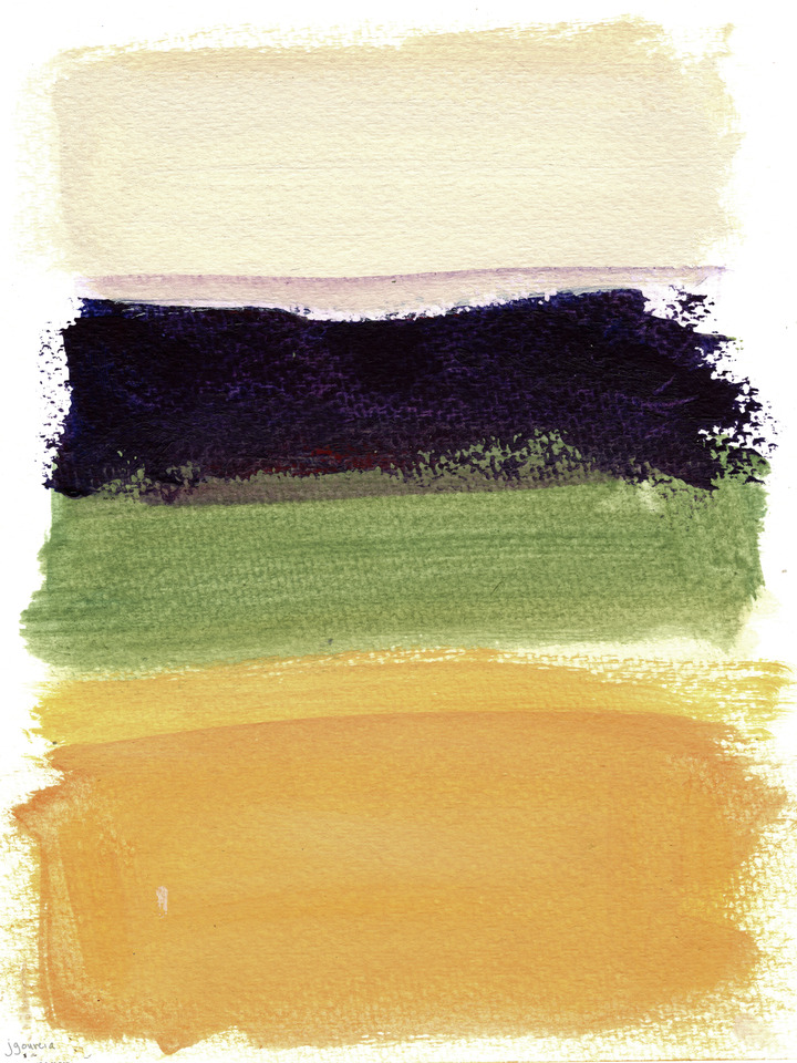 Colors Of A Field I