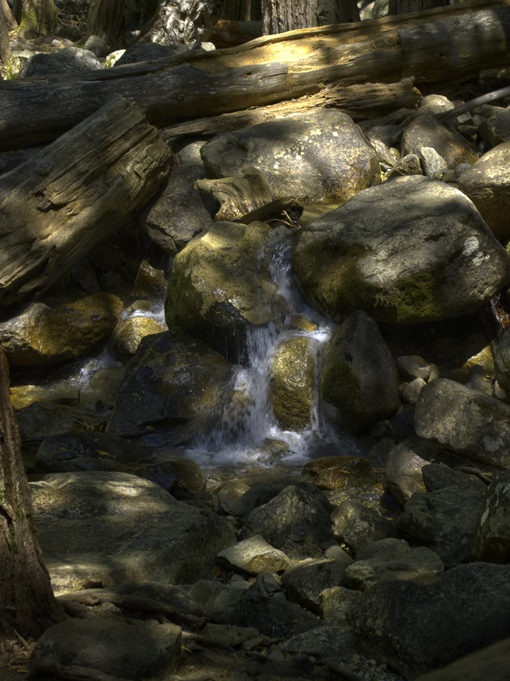 Bridal Veil Creek in Dappled Light