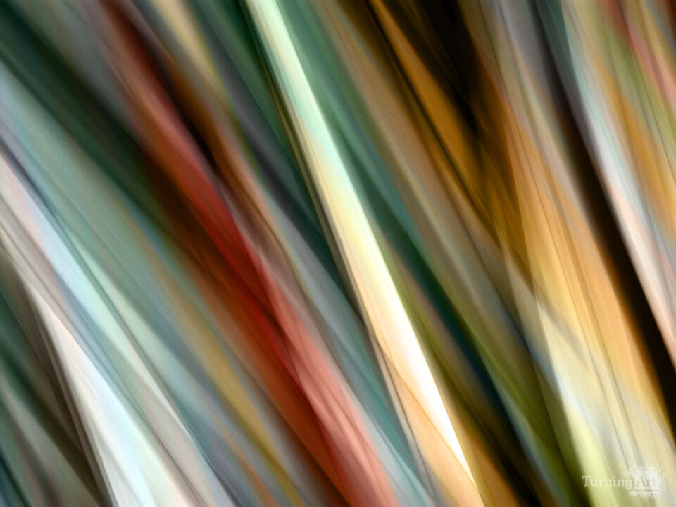 Abstract Botanical B