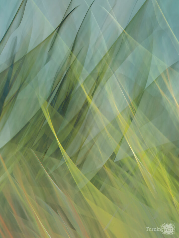 Geometric Grass II