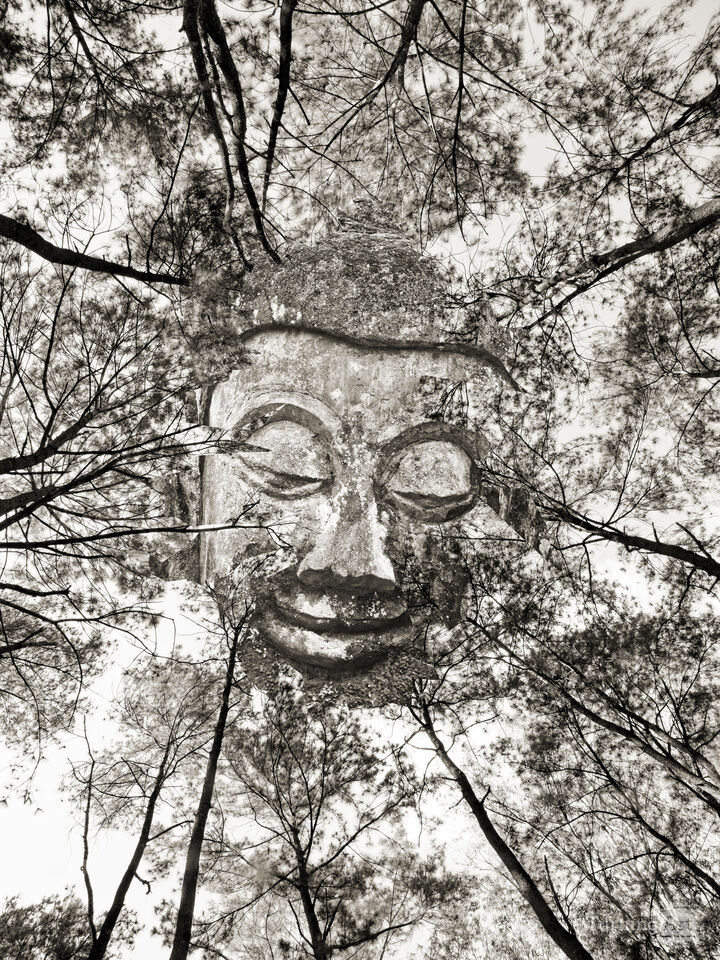 Buddha 6