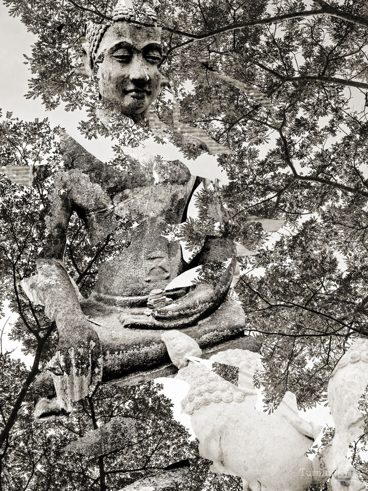 Buddha 17