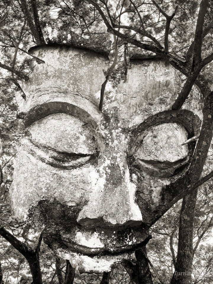 Buddha 19