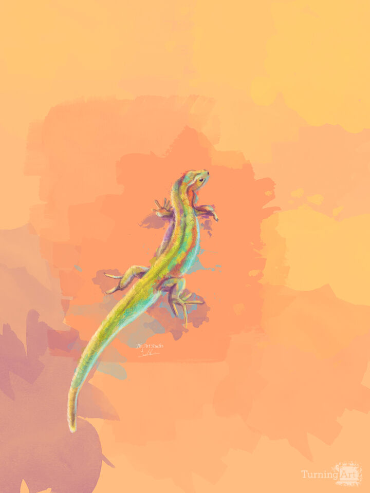 Desert Colors - Lizard Illustration