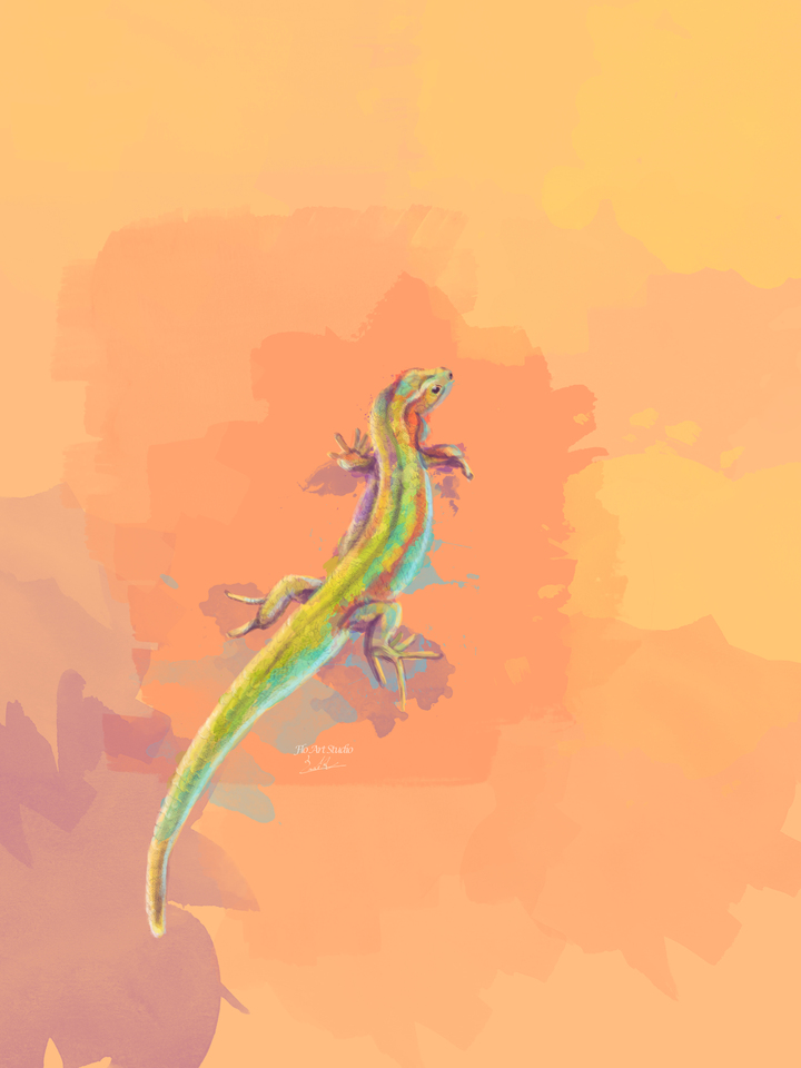 Desert Colors - Lizard Illustration