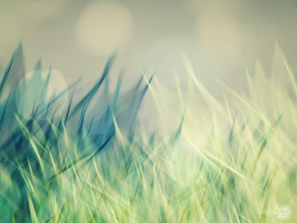 Grass Aura