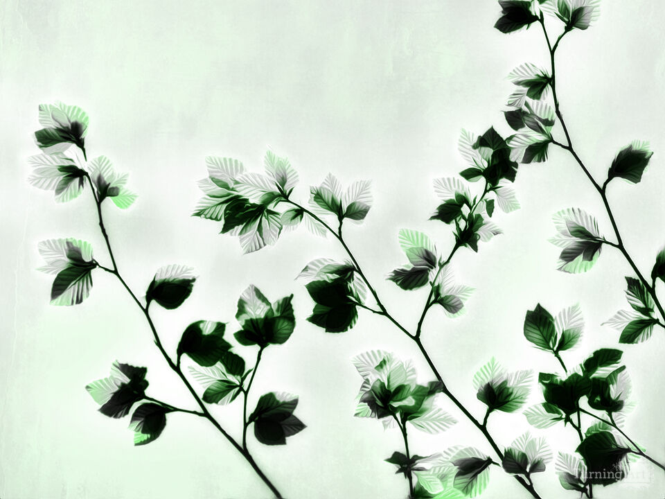 Seasonal Leaves No.1