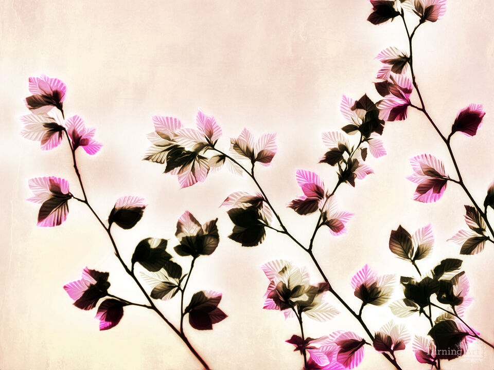 Seasonal Leaves No.2