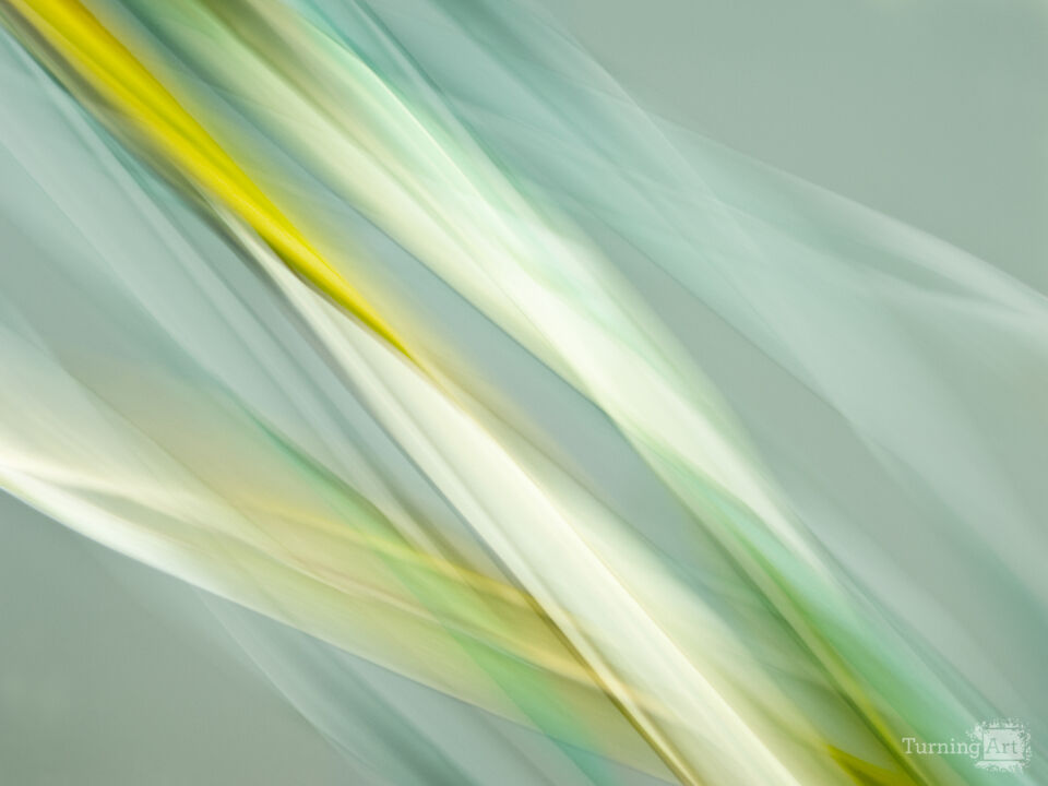 Tropical Botanical 275A