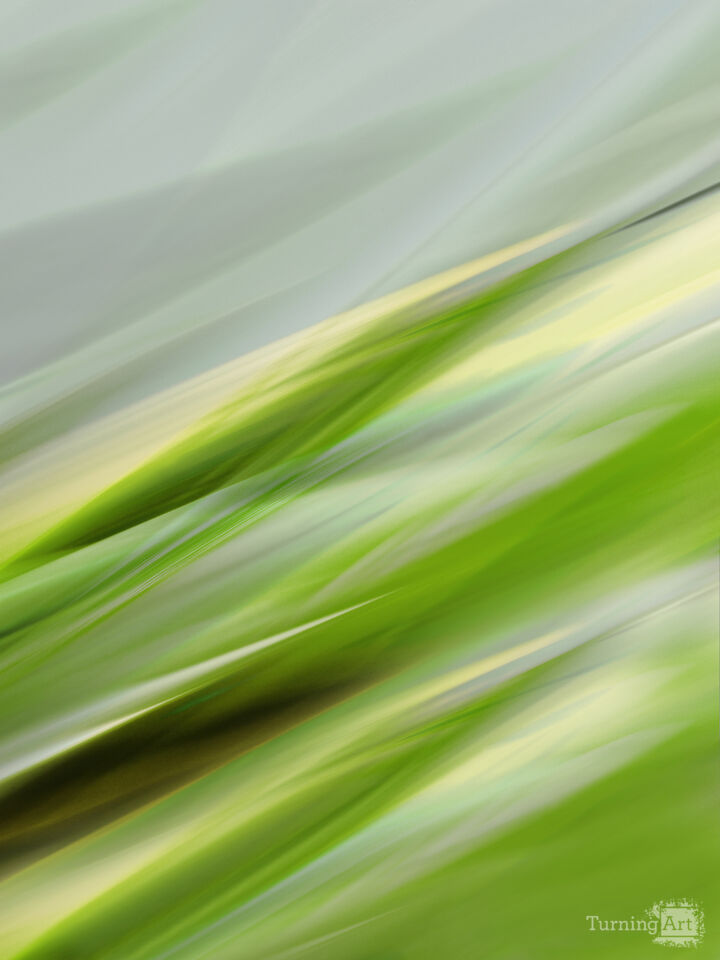 Tropical Botanical 284A