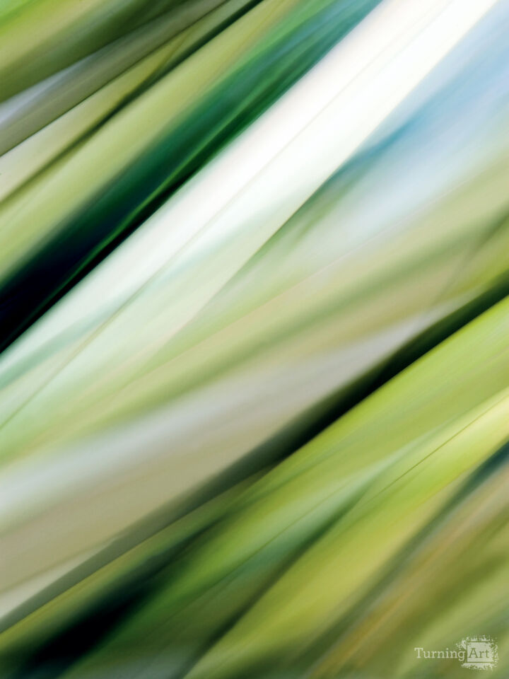 Tropical Leaves No.9