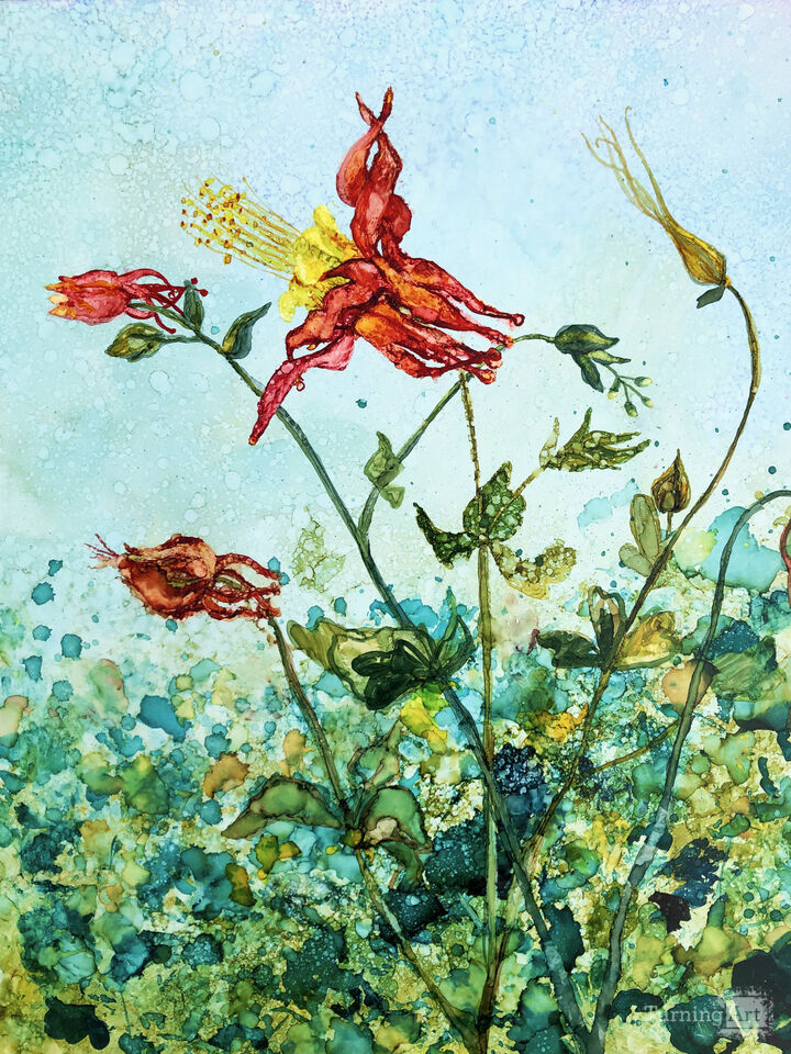 Red Columbine Flowers