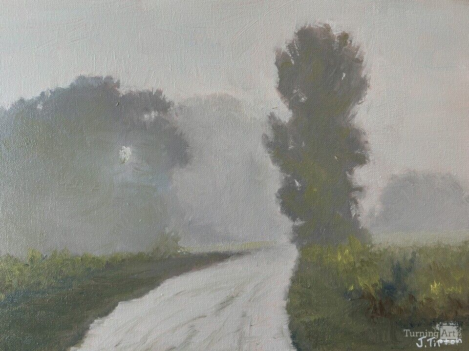 West Branch Forest Preserve, Misty Morning