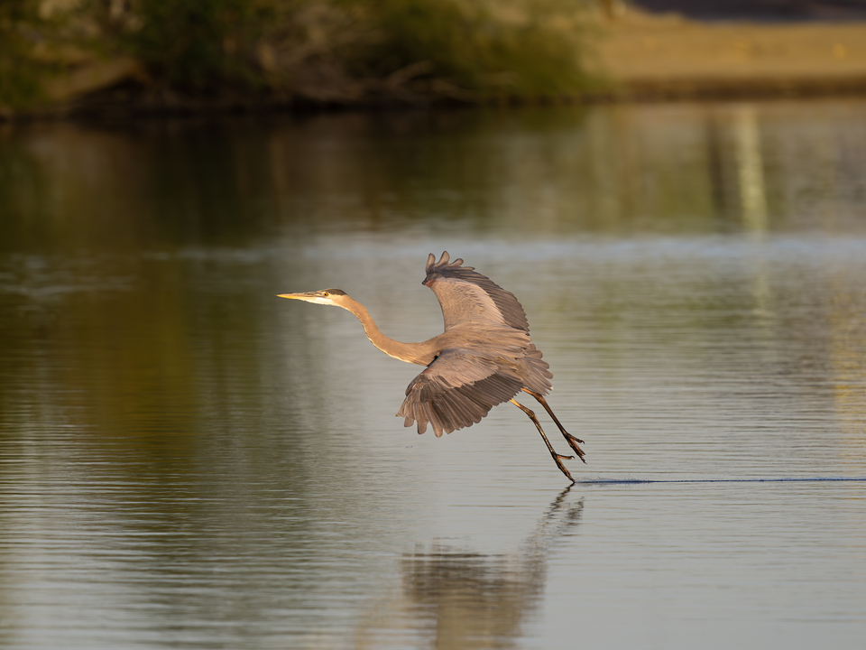 Sticking the Landing 1