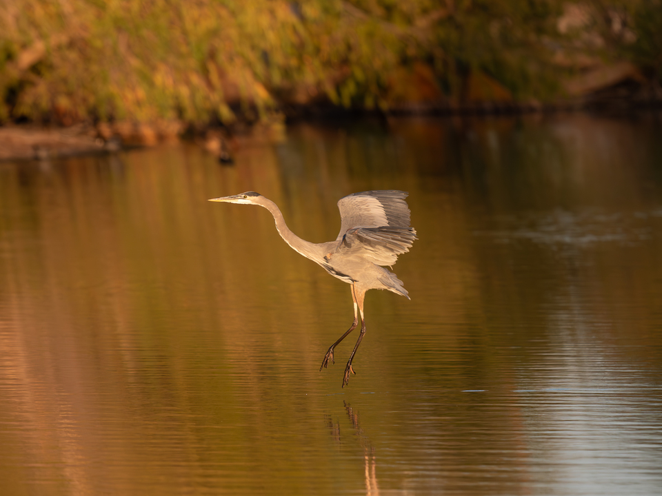 Sticking the Landing 2