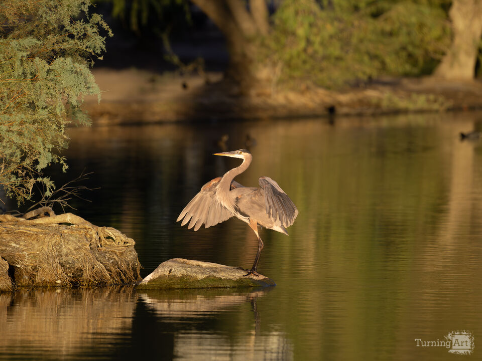 Sticking the Landing 3