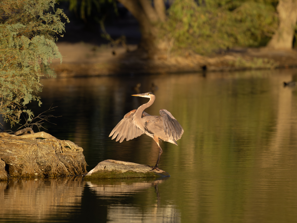 Sticking the Landing 3