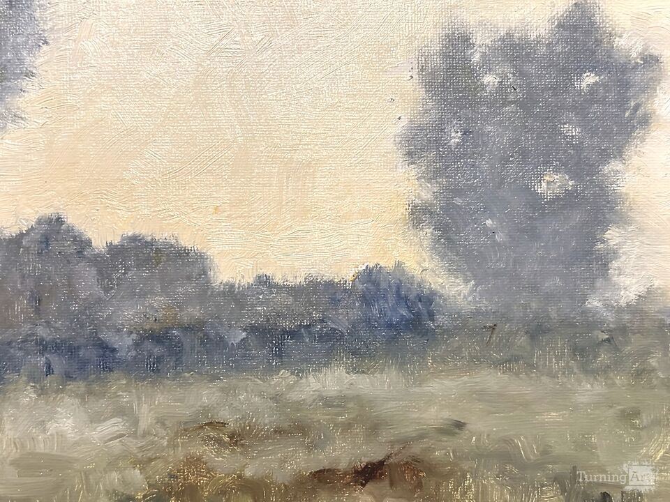 West Branch Forest Preserve, Misty Dawn