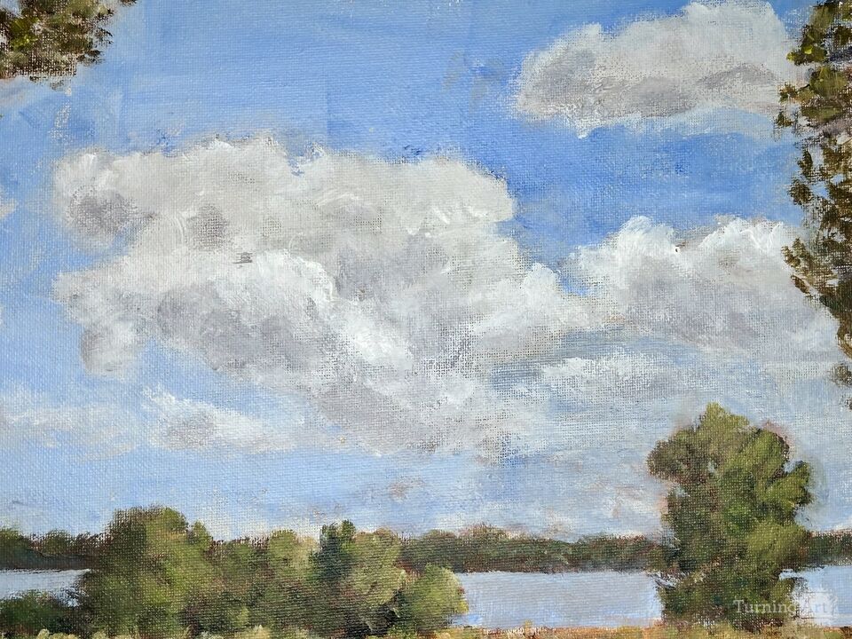 West Branch Forest Preserve, Summer Day