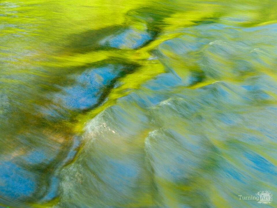 Reflections of November