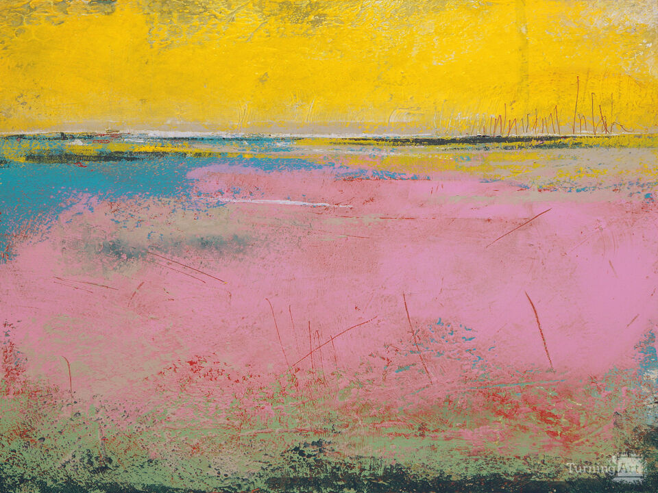 Flamingo Coast 2