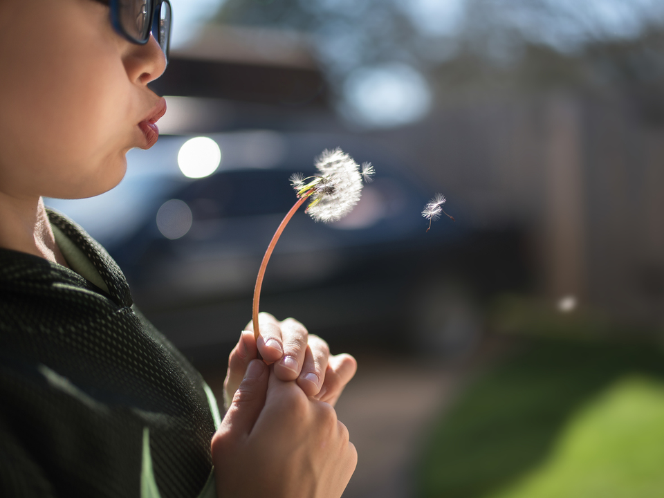 Every Dream Begins with a Wish