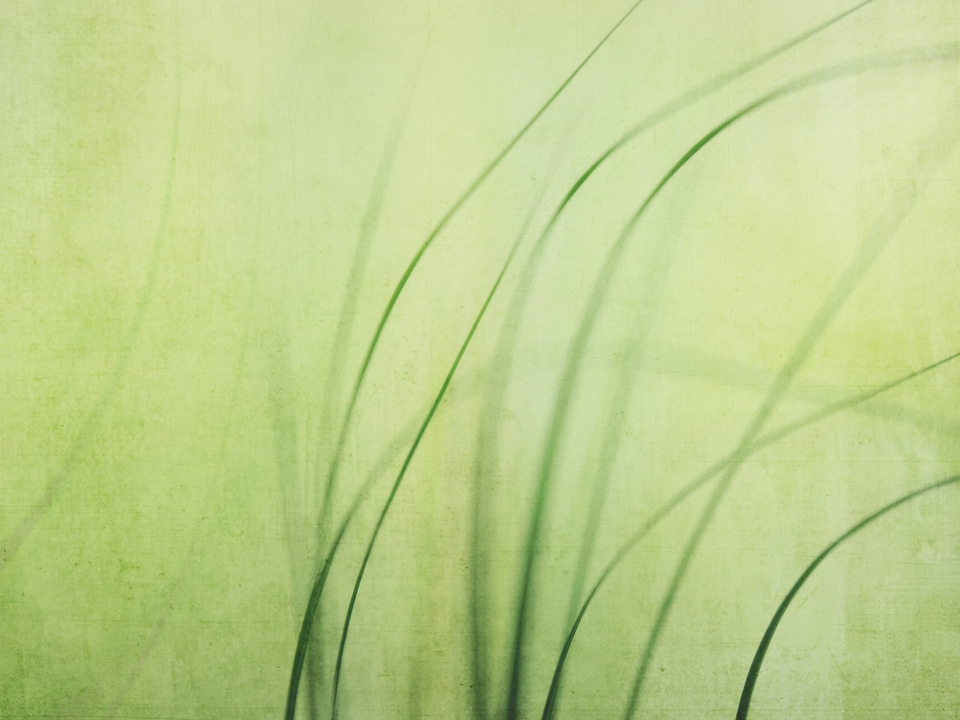 Swaying Grasses