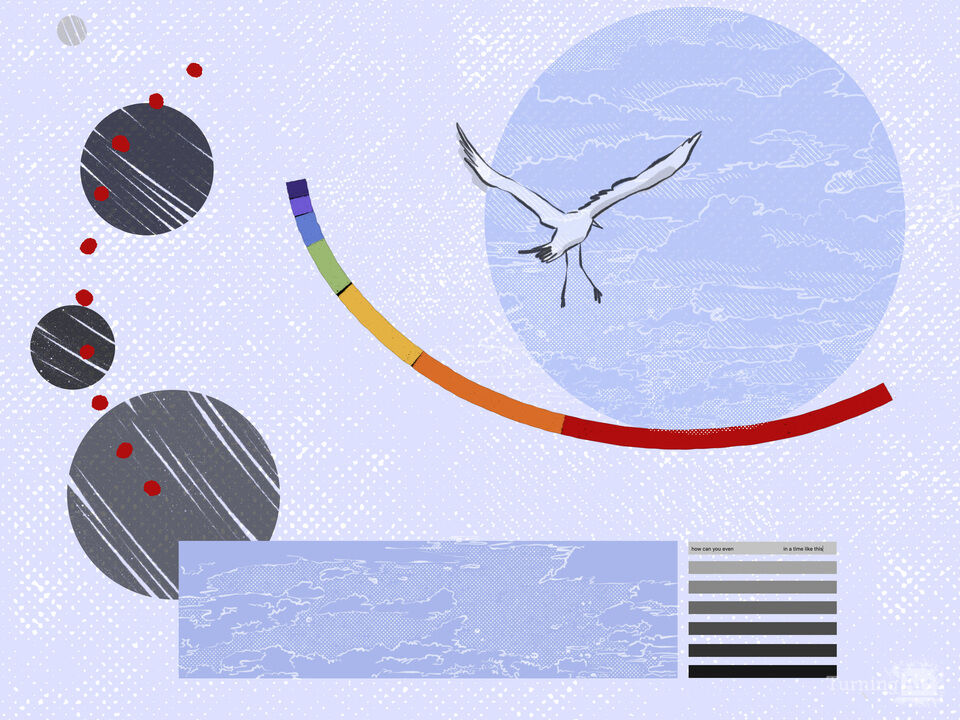 How can you even think of taking flight