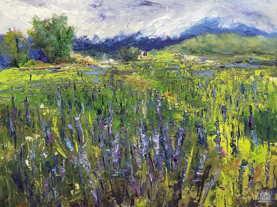 Lupine, Sugar Hill | NH