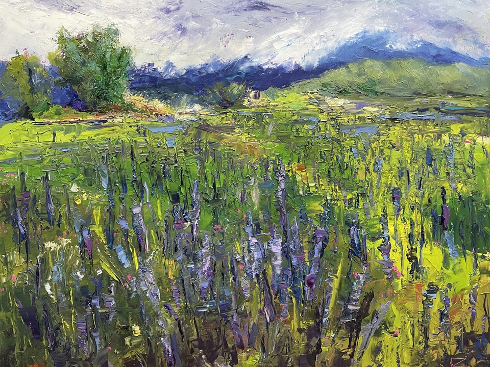 Lupine, Sugar Hill | NH