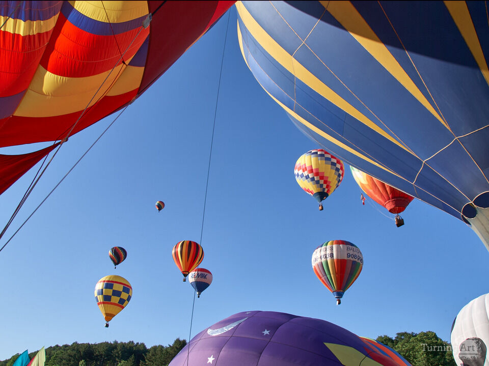 Colorful Hot Air Balloons V